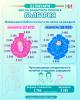 Инфографика
