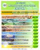 Инфографика